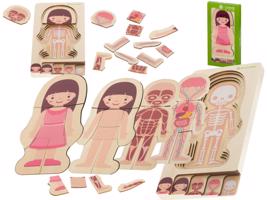 Fa oktató puzzle - a test felépítése (lány)